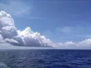 mmの画像