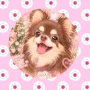 MOCA【ただ今休止中・コメは返せます】の画像