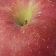 タロー✺⋆*の画像