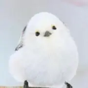じゃがいも（【 】内プロフ必読）の画像