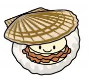 ほたての画像