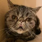 まいんこ♡の画像