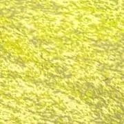sk_greenの画像