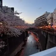ねぎ