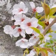 引越し準備断捨離中☆の画像