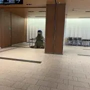 ふるたちさん