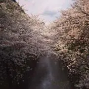 __800
