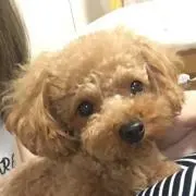 AYAYAYA☆プロフ必読