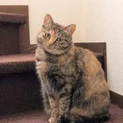 いっくんの画像