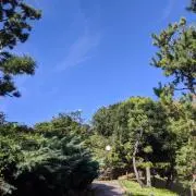 たくみの画像