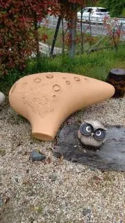 ふーたんの画像
