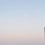 すみれの画像