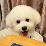 SNOOPY☆の画像