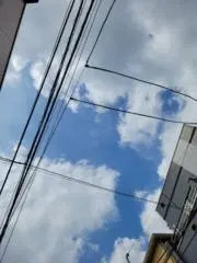 黒早紀もも