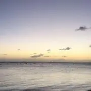 kumoの画像