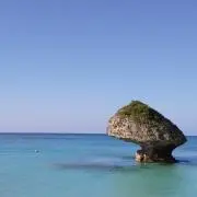 TACの画像