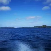 ハヤシ