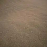 隣