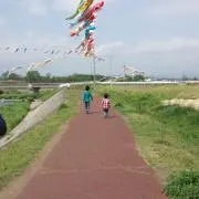 サチの画像