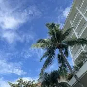 パムの画像