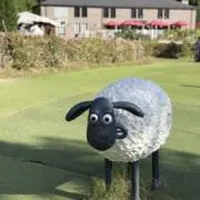 sharyの画像