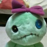 プンタの画像