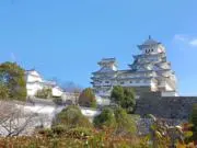 お月様の画像