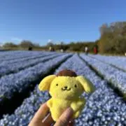 てちちの画像