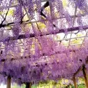 あーさ【プロフの事前確認お願いします】の画像