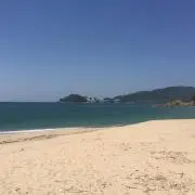 えび
