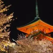 tomtomの画像