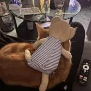 y t.