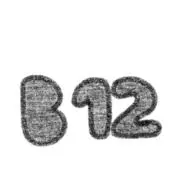 B12 ファーストの画像