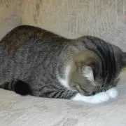 なるりっち