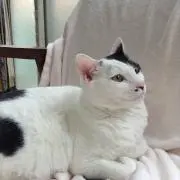 HYS♡の画像