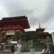 MSの画像