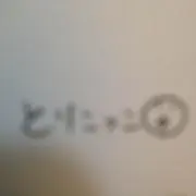 toricoccoの画像