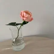 ももか