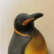 mocaの画像