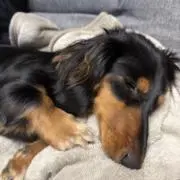 Aの画像