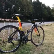 Ryuの画像