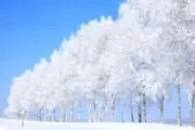 ameyoの画像