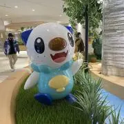 かにの画像