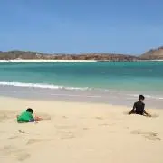 さだ