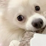 まーこの父