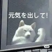 XXさんの画像