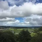 ハナの画像