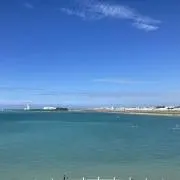 やんやん