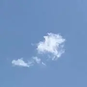 ジャスミンの画像