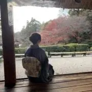 ふしふし